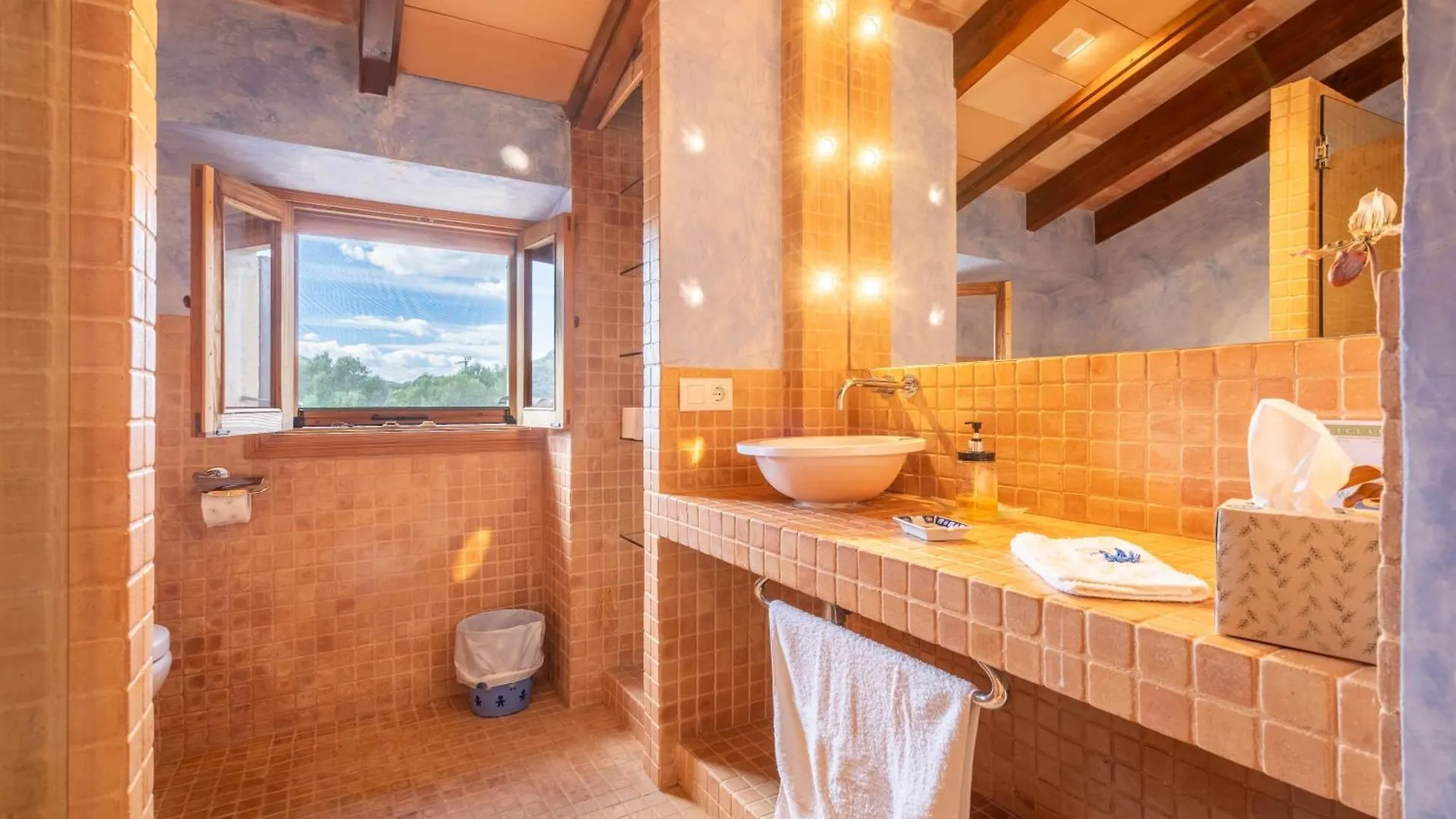 Villa Son Servera - 306693